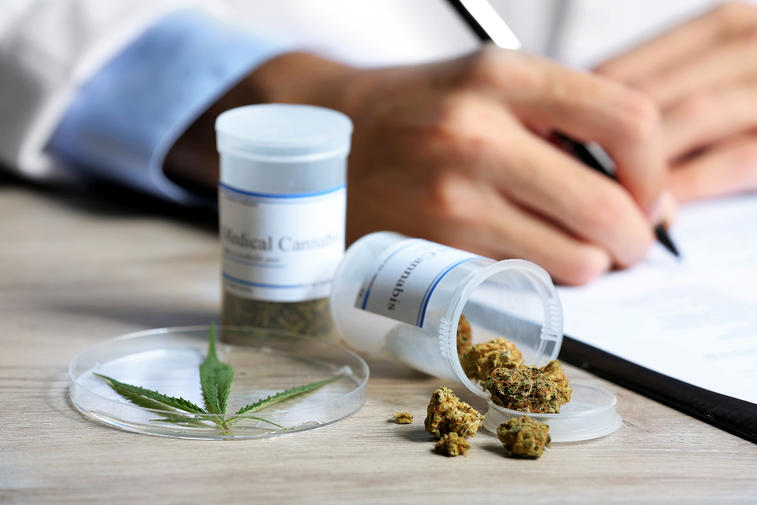 Cannabis medicinal y pacientes a día de hoy